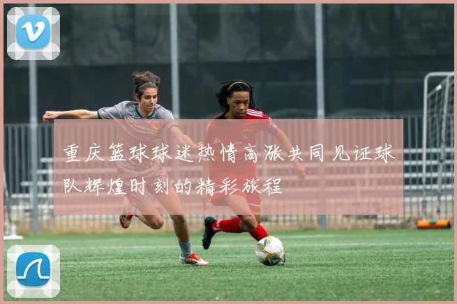 重庆篮球球迷热情高涨共同见证球队辉煌时刻的精彩旅程