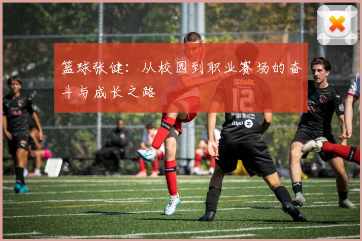 篮球张健：从校园到职业赛场的奋斗与成长之路