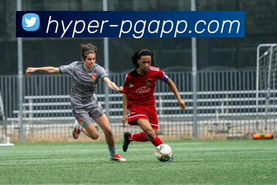 PG模拟器发展历程